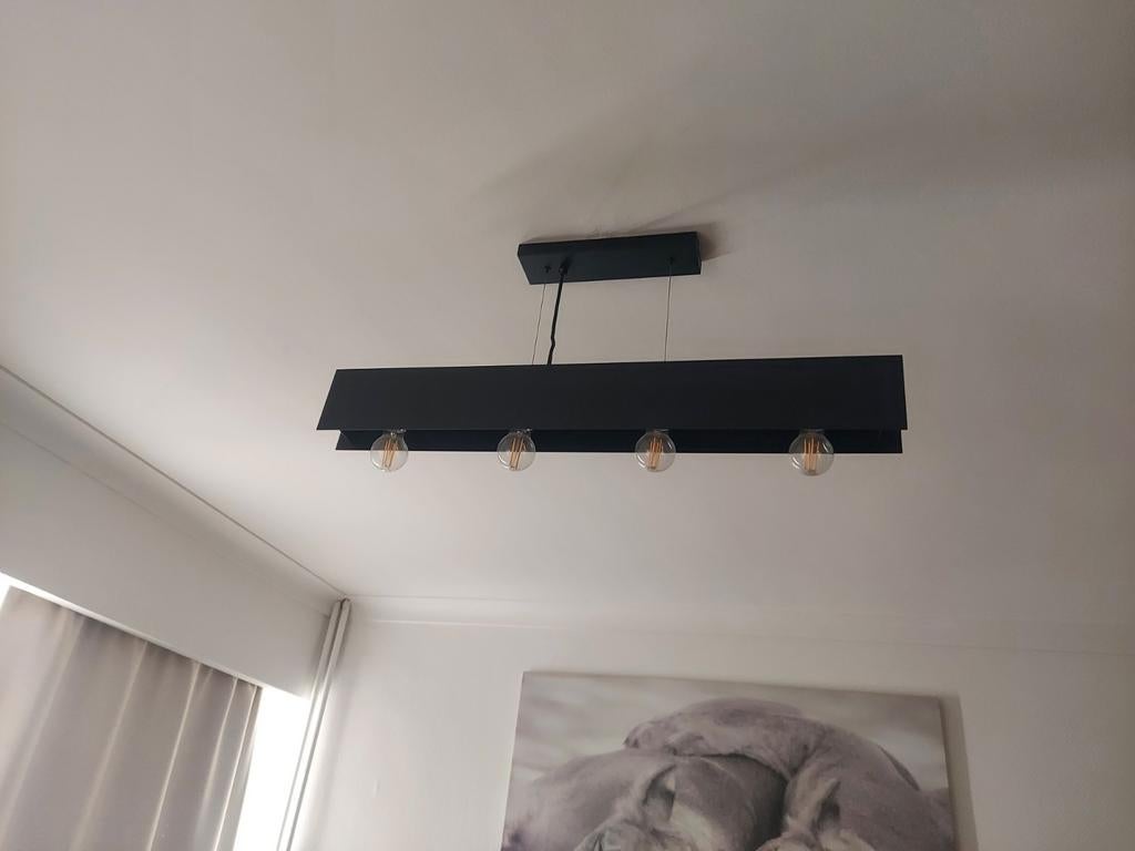 Luminaires industriels noirs, Enlèvement