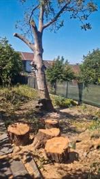 De la Pelouse à l’arbre, Tuin en Terras, Grasmaaiers, Handgrasmaaier, Nieuw, Ophalen of Verzenden, Balkmaaier