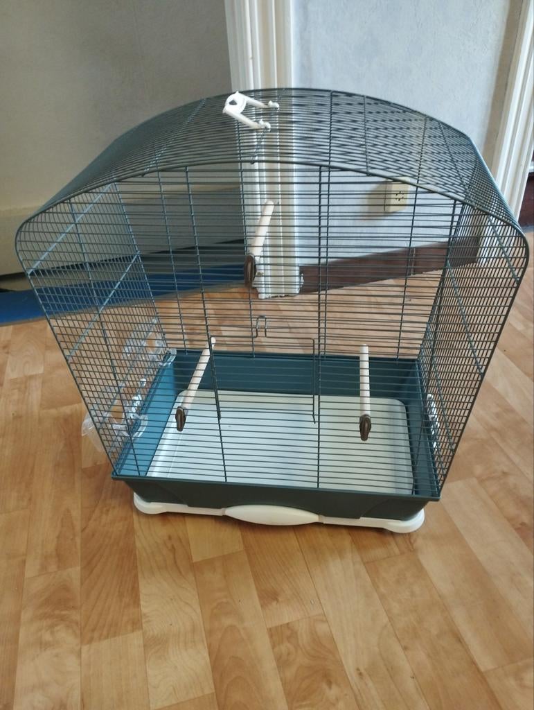 Cage oiseaux, Animaux & Accessoires, Enlèvement, Cage