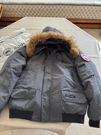 Manteau CANADA, Kleding | Heren, Jassen | Winter, Ophalen of Verzenden, Nieuw, Maat 52/54 (L), Grijs