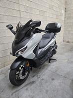 Honda forza 125cc, Scooter, Particulier, Éclairage LED, 125 cm³