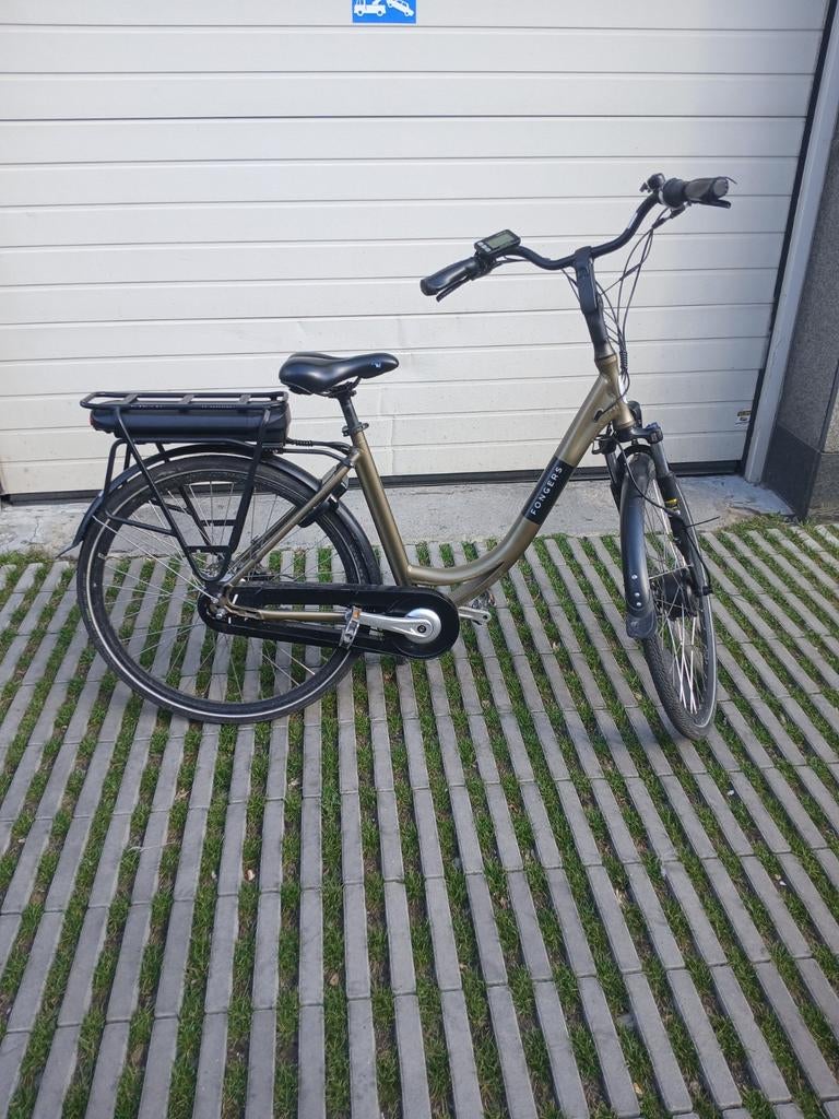 Elektrische fiets, Fietsen en Brommers, Elektrische fietsen, Ophalen
