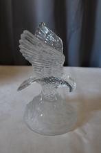 Adelaar met vleugels open in glas, Verzamelen, Ophalen of Verzenden, Zo goed als nieuw, Dier