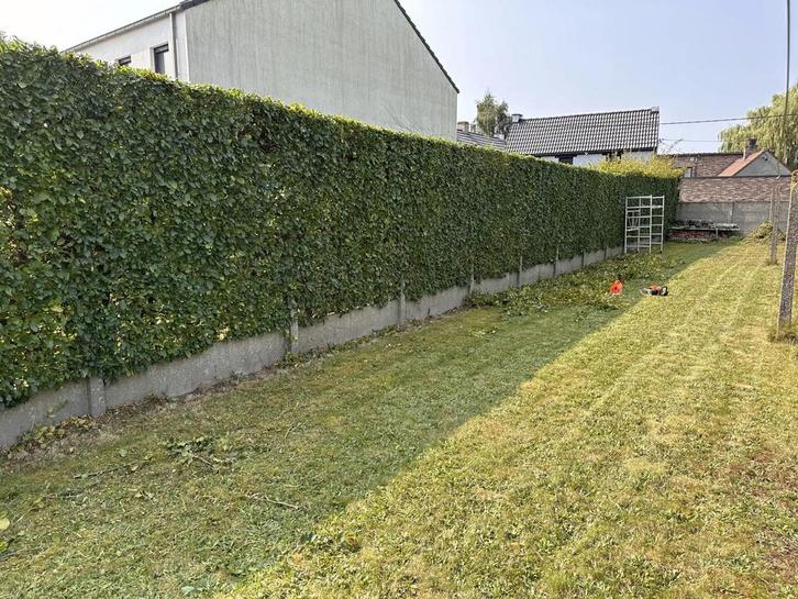 Tuinman +32 456 65 58 79 Tuinwerk, Tuin en Terras, Gras en Kunstgras, Zo goed als nieuw, Ophalen