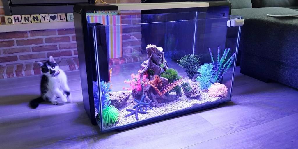 Aquarium Inclusief alle toebehoren, Dieren en Toebehoren, Vissen | Aquaria en Toebehoren, Ophalen, Pomp, Zo goed als nieuw, Superfish