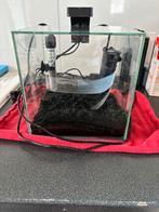 Mini aquarium met filter en warmte element en lamp, Ophalen, Zo goed als nieuw