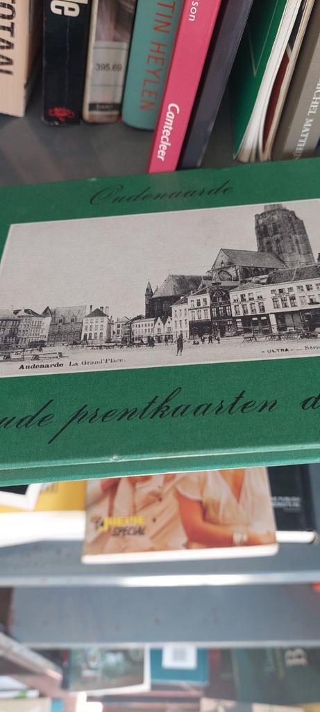 Oudenaarde in oude prentkaarten, Livres, Histoire & Politique, Enlèvement ou Envoi