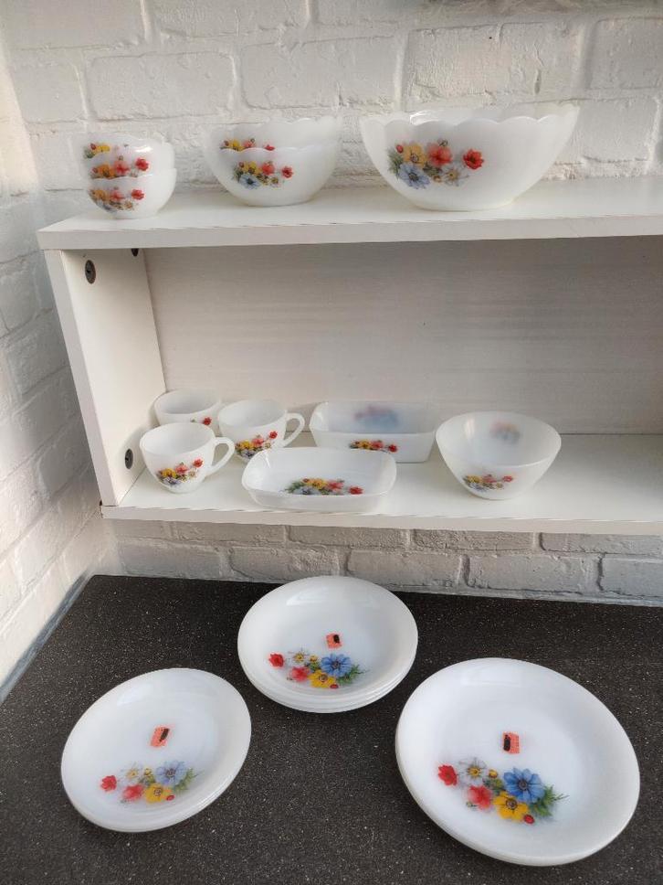 Lot : Anémones arcopales, Maison & Meubles, Cuisine | Vaisselle, Utilisé, Autres types, Enlèvement