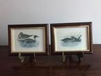 Set van 2 lijsten kaders bruin goud eenden achter glas, Antiek en Kunst, Curiosa en Brocante, Ophalen of Verzenden