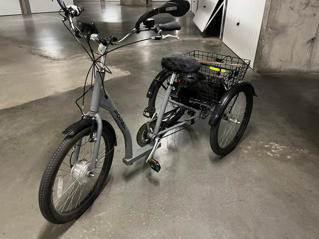 Elektrische driewieler, Ophalen, Gebruikt