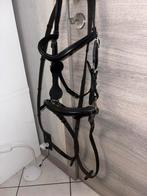 Hackamore Hoofdstel F.R.A. Calli Zwart, Ophalen of Verzenden, Zo goed als nieuw