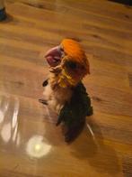 Roestkop caique, Dieren en Toebehoren, Pluimvee