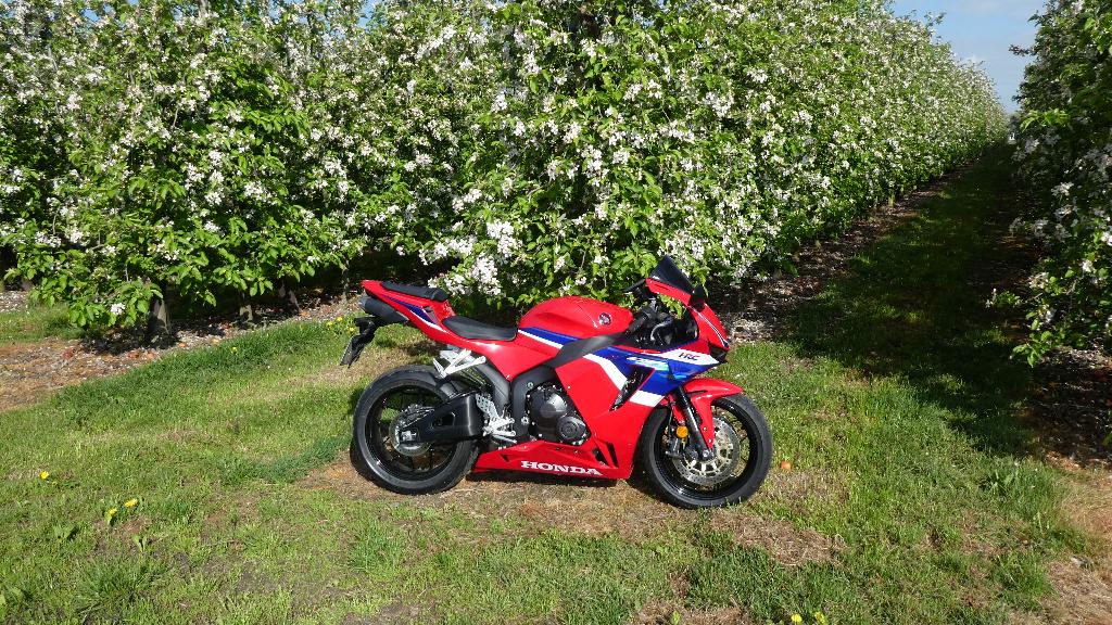 Honda CBR600RR 2025, Motos, Motos | Honda, Occasion, Plus de 35 kW, Super Sport, Particulier