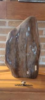 Versteend hout, Verzamelen, Ophalen