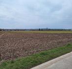 Landbouwgrond Rotselaar  31 are 16 ca, Immo, Gronden en Bouwgronden, Rotselaar Leuven, Verkoop zonder makelaar, 1500 m² of meer