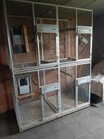 Dubbele kweek kooi parkieten /papegaaien, Dieren en Toebehoren, Vogels | Hokken en Kooien, Ophalen