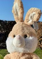 Qui cherche un joli gros lapin ?, Enlèvement