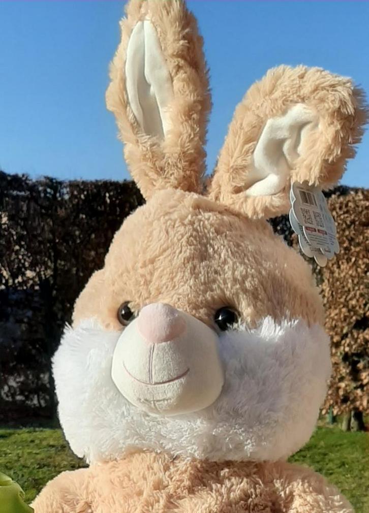 Qui cherche un joli gros lapin ?, Enfants & Bébés, Jouets | Autre, Enlèvement