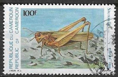 Cameroun 1986 - Yvert 784 - Insectes - Criquet (ST), Envoi, Affranchi
