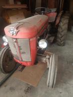 oldtimer massey ferguson 30, Jusqu'à 80 ch, 5000 à 7500, Enlèvement, Oldtimer/Ancêtre