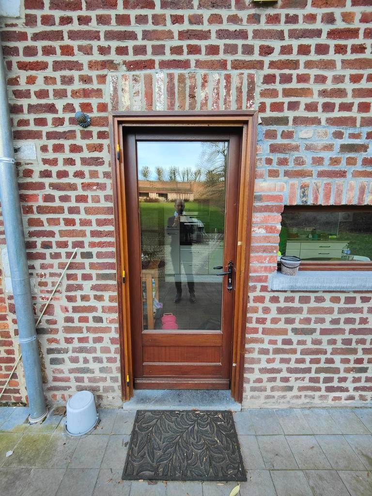 Merbau buitendeur met dubbele beglazing, Doe-het-zelf en Bouw, Glas en Ramen, Dubbelglas, Ophalen