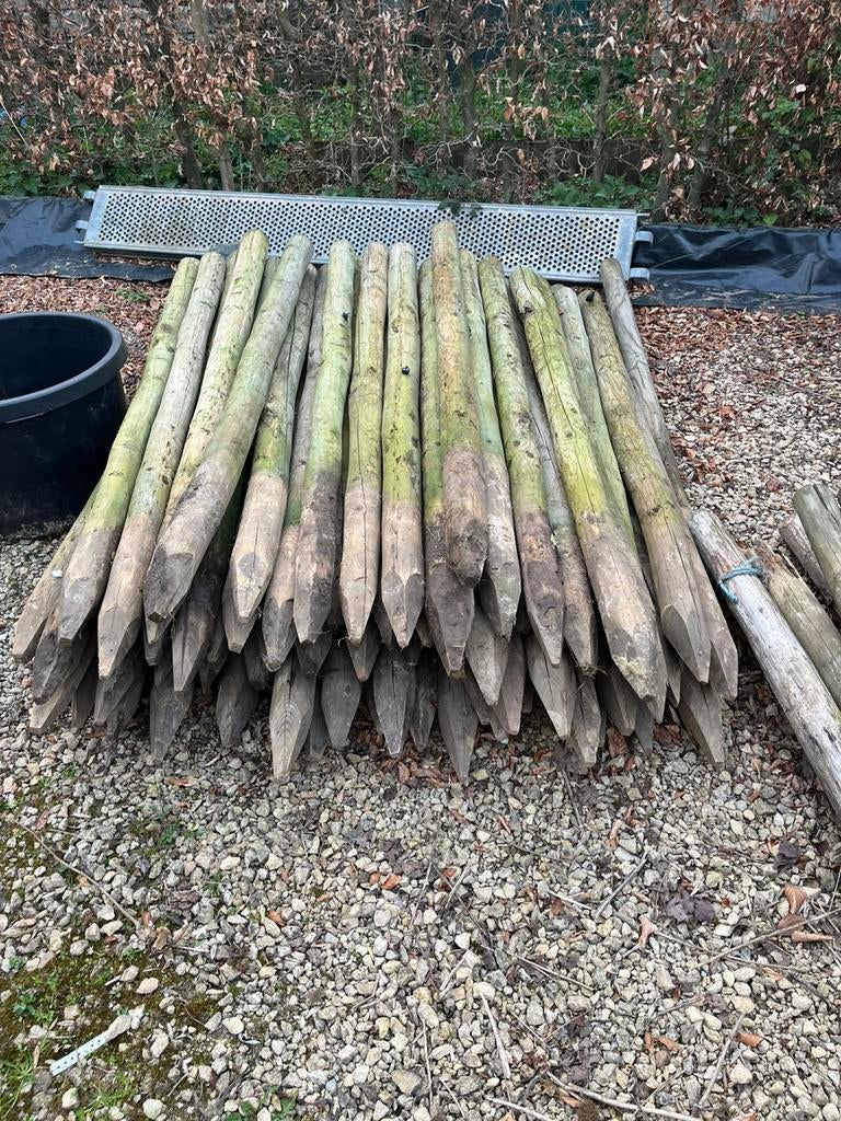 60-tal weidepalen grenen 8x180, Ophalen, Zo goed als nieuw