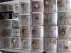 collectie mineralen te koop AAN HALVE PRIJS, Verzamelen, Ophalen, Mineraal