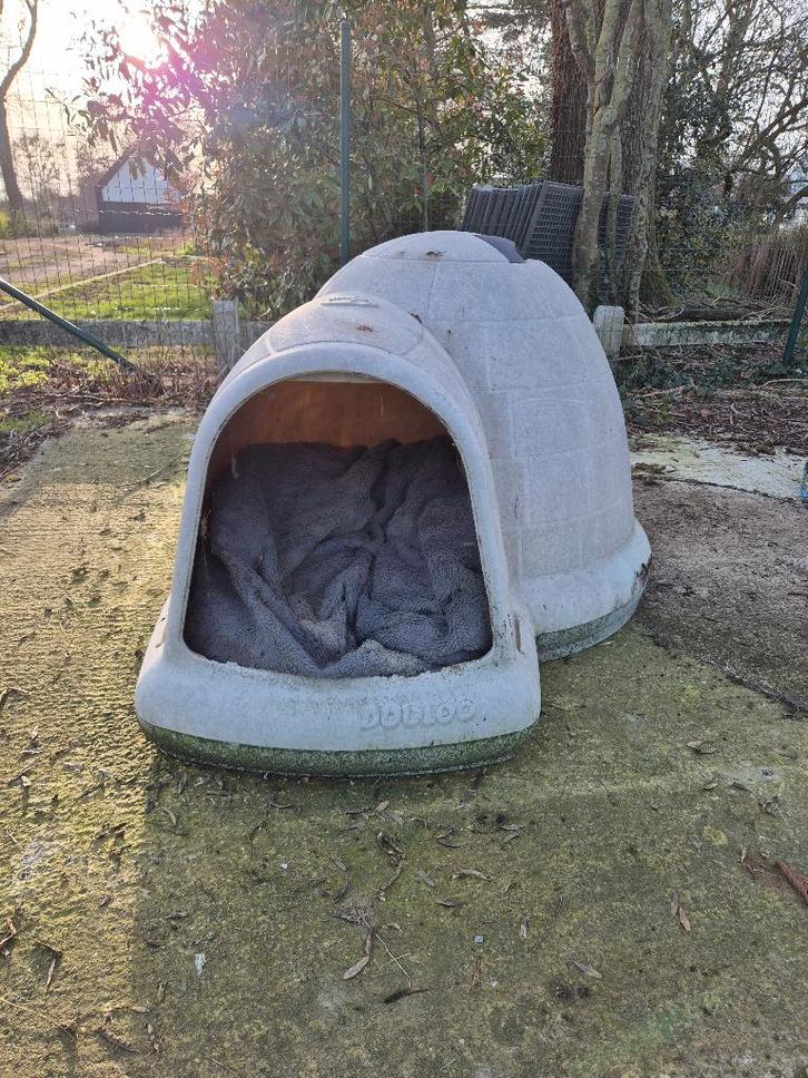 Iglo voor hond, Animaux & Accessoires, Maisons pour chiens, Utilisé, Niche à chien, 65 à 100 cm, 110 cm ou plus, Enlèvement