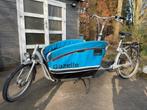 Vélo cargo Gazelle Caddy, Pliable, Enlèvement, Utilisé, 3 enfants