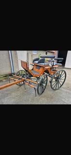 Klassieke paardenkoets, Zo goed als nieuw, Paard