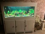 Aquarium met toebehoren, Verzenden, Zo goed als nieuw