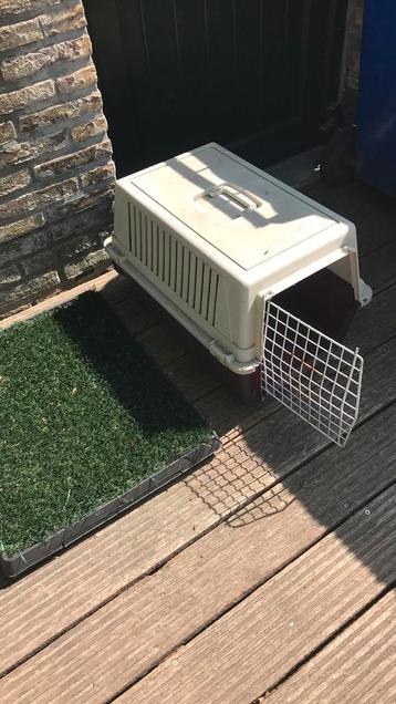 Transport box en honden toilet   beschikbaar voor biedingen