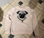 Sweater in kleur roze maat S, Kleding | Dames, Overige Dameskleding, Ophalen of Verzenden, Zo goed als nieuw
