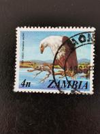 Zambie 1975 - oiseaux, Timbres & Monnaies, Timbres | Timbres thématiques, Animal et Nature, Affranchi, Enlèvement ou Envoi
