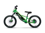 NIEUWE KAWASAKI ELEKTRODE 20, Ophalen, Kawasaki, Nieuw, Handrem