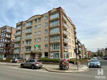 Modern en ongemeubeld appartement op de 5e verdieping van ee, Immo, 50 m² of meer