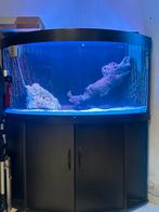 Juwel 350, Animaux & Accessoires, Poissons | Aquariums & Accessoires, Comme neuf