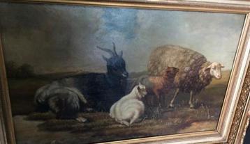 Oud Schilderij op paneel Schapen/geiten beschikbaar voor biedingen