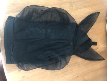 ‼️ Paardenspullen te koop ‼️ beschikbaar voor biedingen