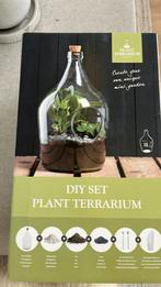 Nog in gesloten verpakking. Plant terrarium., Enlèvement ou Envoi, Neuf