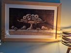 Kader in steigerhout met tekening, Ophalen, Zo goed als nieuw, 100 tot 125 cm, 50 tot 75 cm