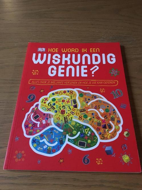 Hoe Word Ik Een Wiskundig Genie? Boek, Boeken, Kinderboeken | Jeugd | 10 tot 12 jaar, Zo goed als nieuw, Non-fictie, Ophalen of Verzenden