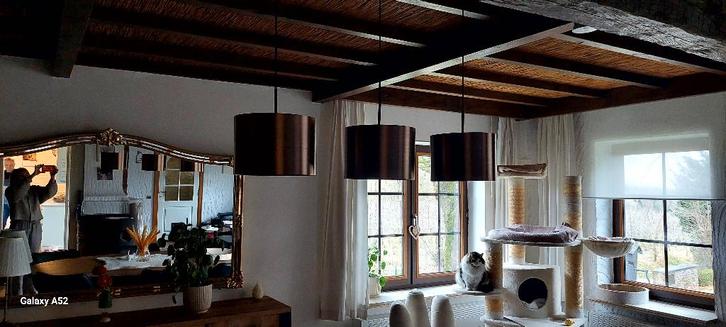 Bronskleurige luster, Handtassen en Accessoires, Tassen | Schoudertassen, Ophalen