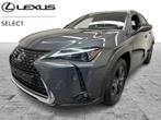 Lexus UX 250h Business Line, 1998 cc, Zwart, 5 deurs, Hybride Elektrisch/Benzine