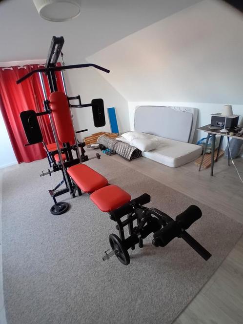 SVEN - fitness toestel, Sport en Fitness, Fitnessapparatuur, Gebruikt, Borst, Ophalen