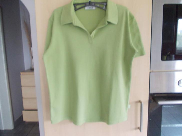 Tshirts-Polo's, verschillende Merken en Maten., Kleding | Dames, T-shirts, Zo goed als nieuw, Maat 42/44 (L), Overige kleuren