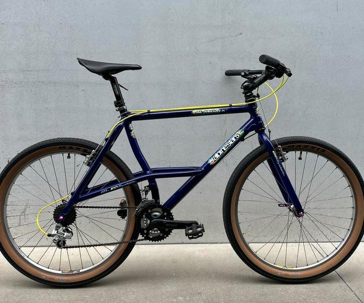 Unieke ALPINESTARS Almega DX - vernieuwd en rijklaar, Fietsen en Brommers, Fietsen | Mountainbikes en ATB, Zo goed als nieuw, Ophalen