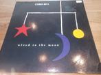 Lp Chris Rea, Cd's en Dvd's, Vinyl | Pop, Gebruikt, Ophalen of Verzenden, 1980 tot 2000, 12 inch