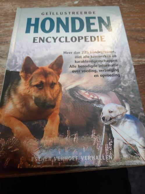 E.J.J. Verhoef-Verhallen - Hondenencyclopedie, Boeken, Dieren en Huisdieren, Zo goed als nieuw, Ophalen