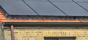 vogelwering voor zonnepanelen beschikbaar voor biedingen
